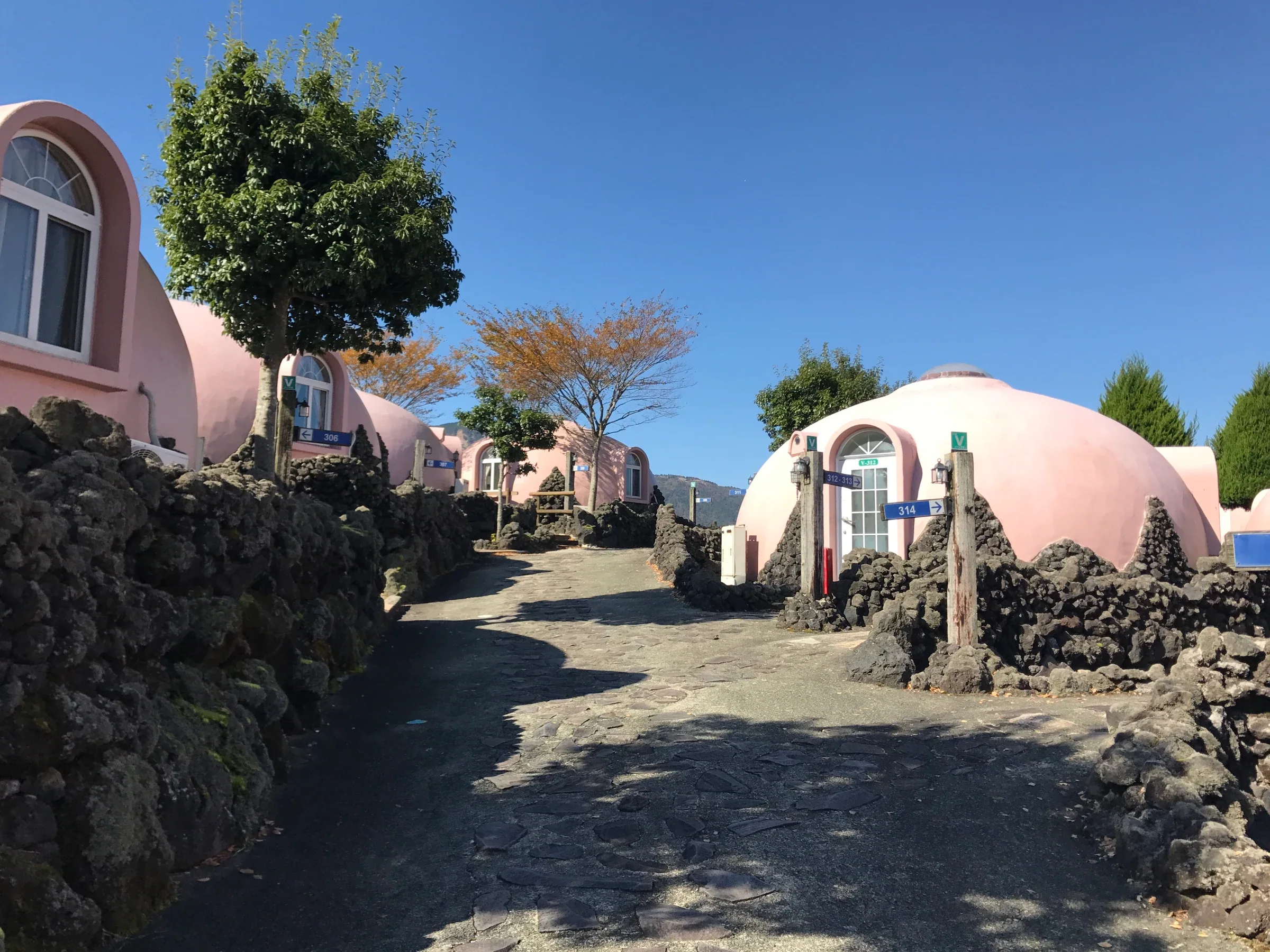 阿蘇農場樂園 Royal Zone 的粉色圓頂客房沿園區道路排列