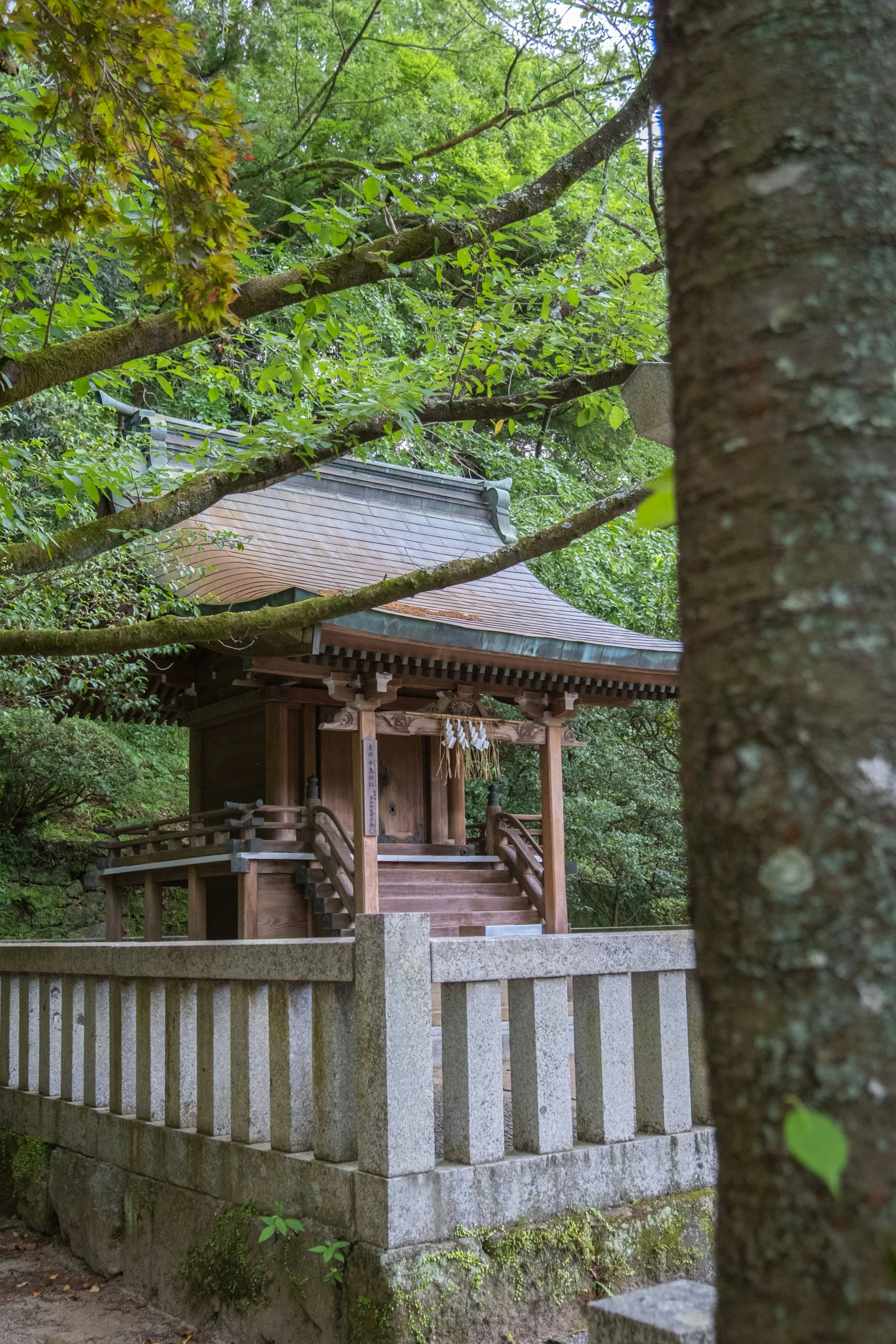 太宰府神幸式大祭2026|下り、上り神轎行列與太宰府留宿安排