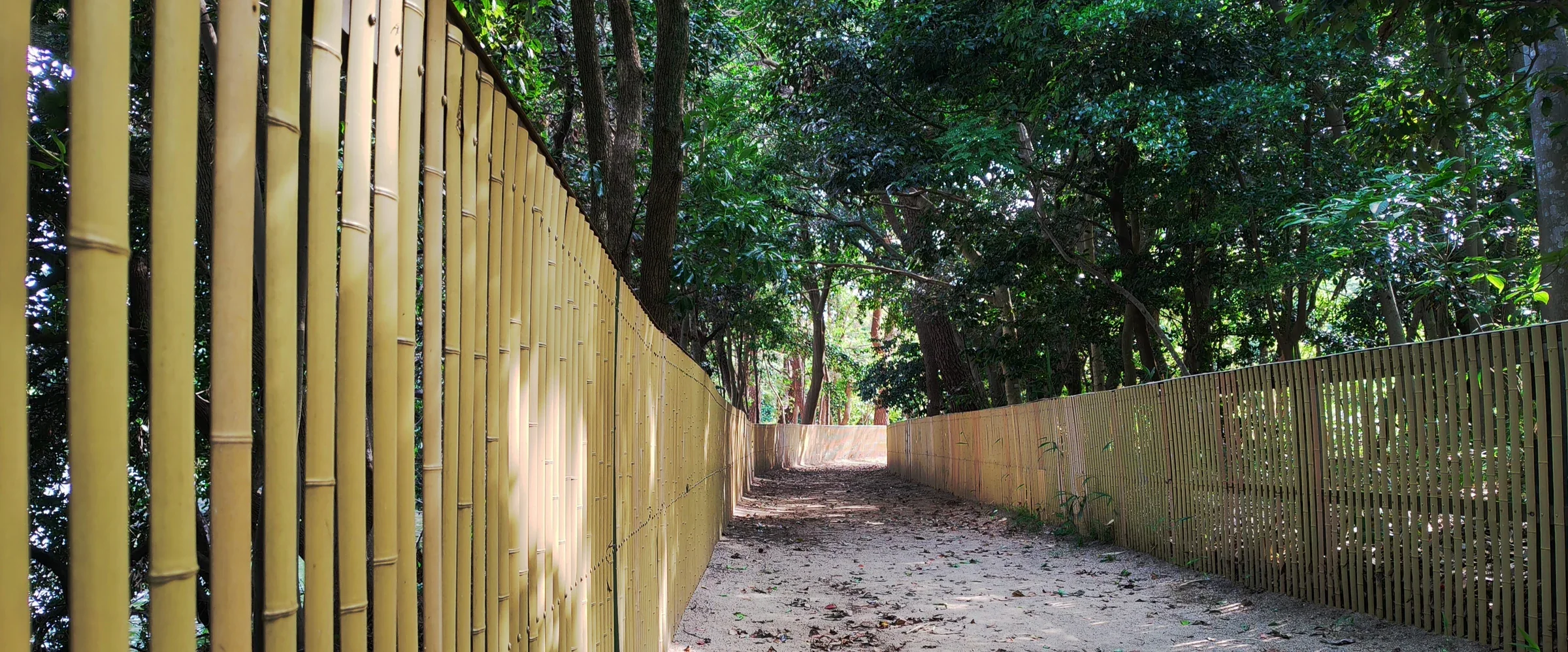 大濠公園竹籬旁的林蔭小徑