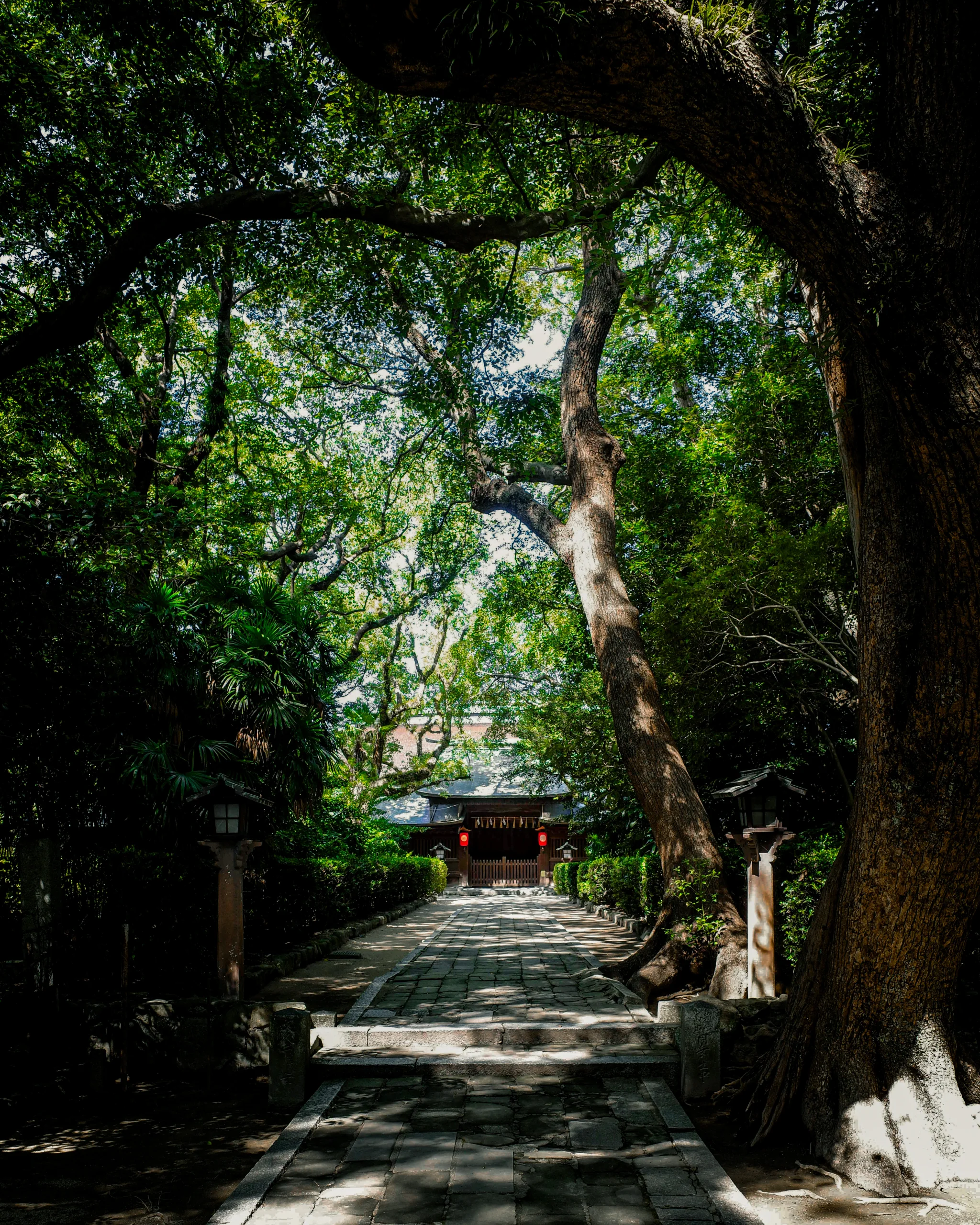 筥崎宮境內通往樓門的石板參道,兩側大樹遮蔭
