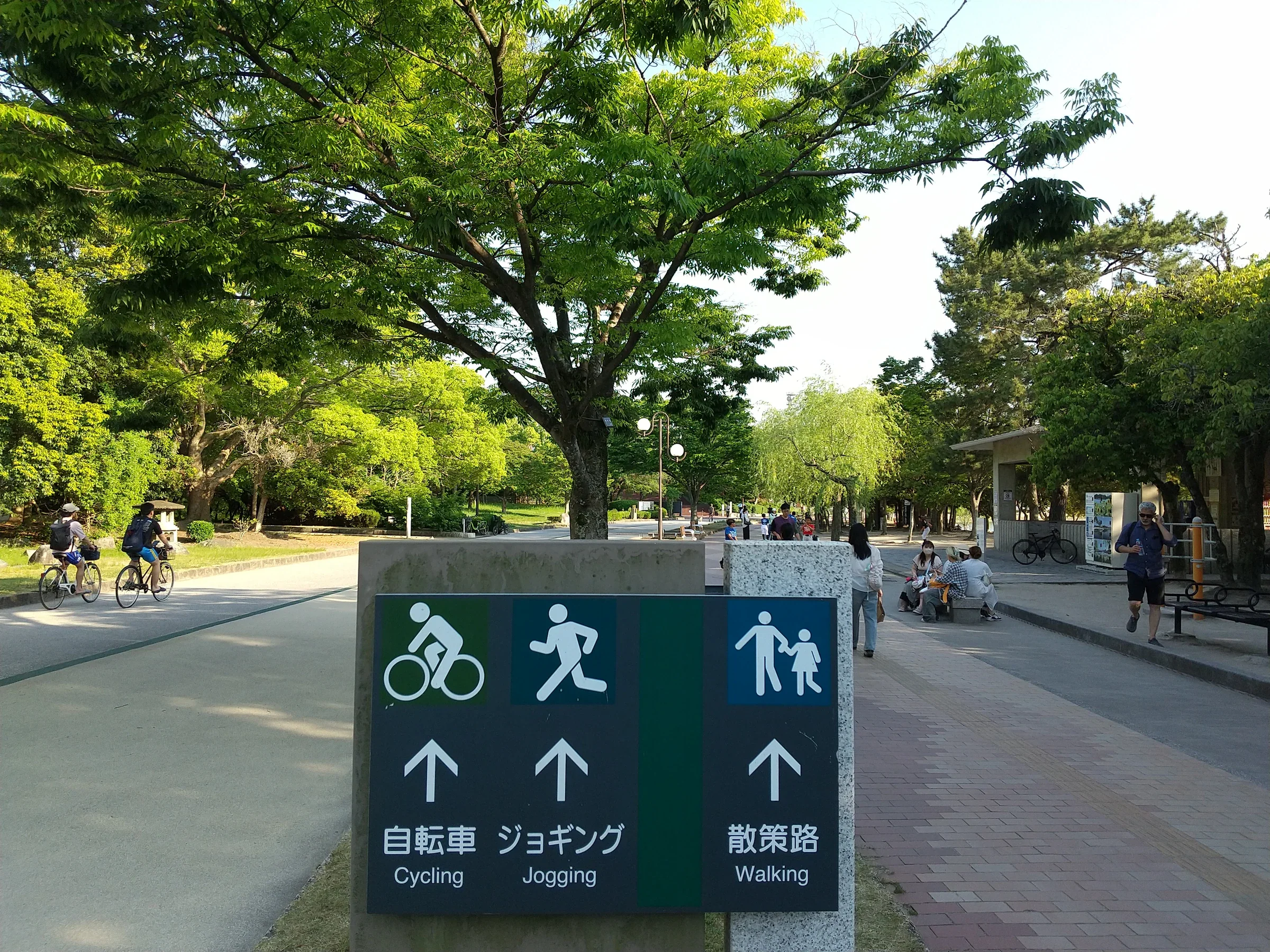 大濠公園把自行車、慢跑與步行路線分開的指標，後方可見園路與行人
