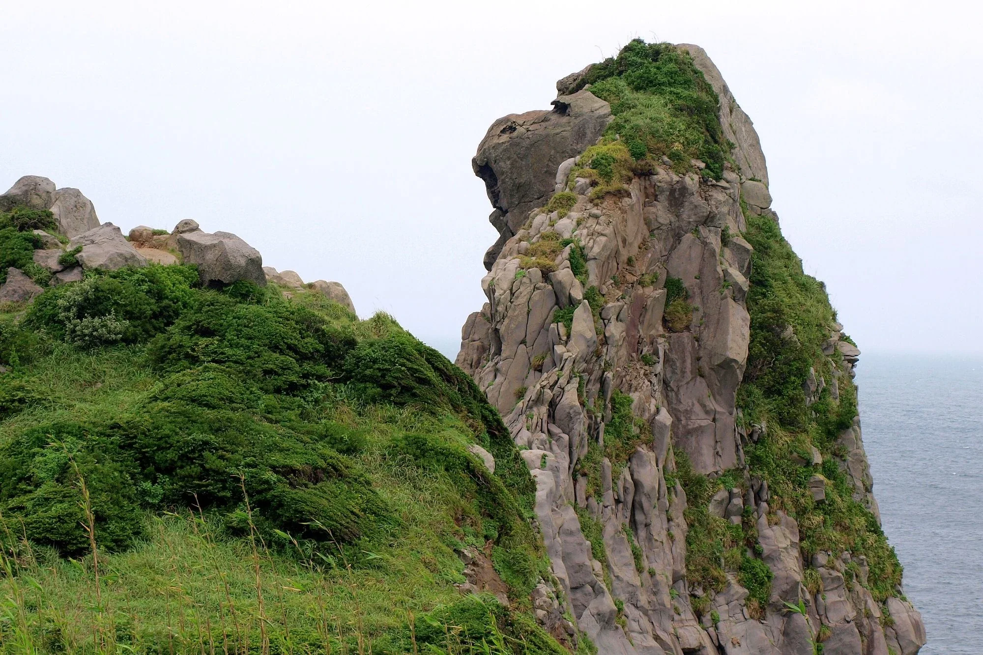 壹岐黑崎半島海岸上的猿岩