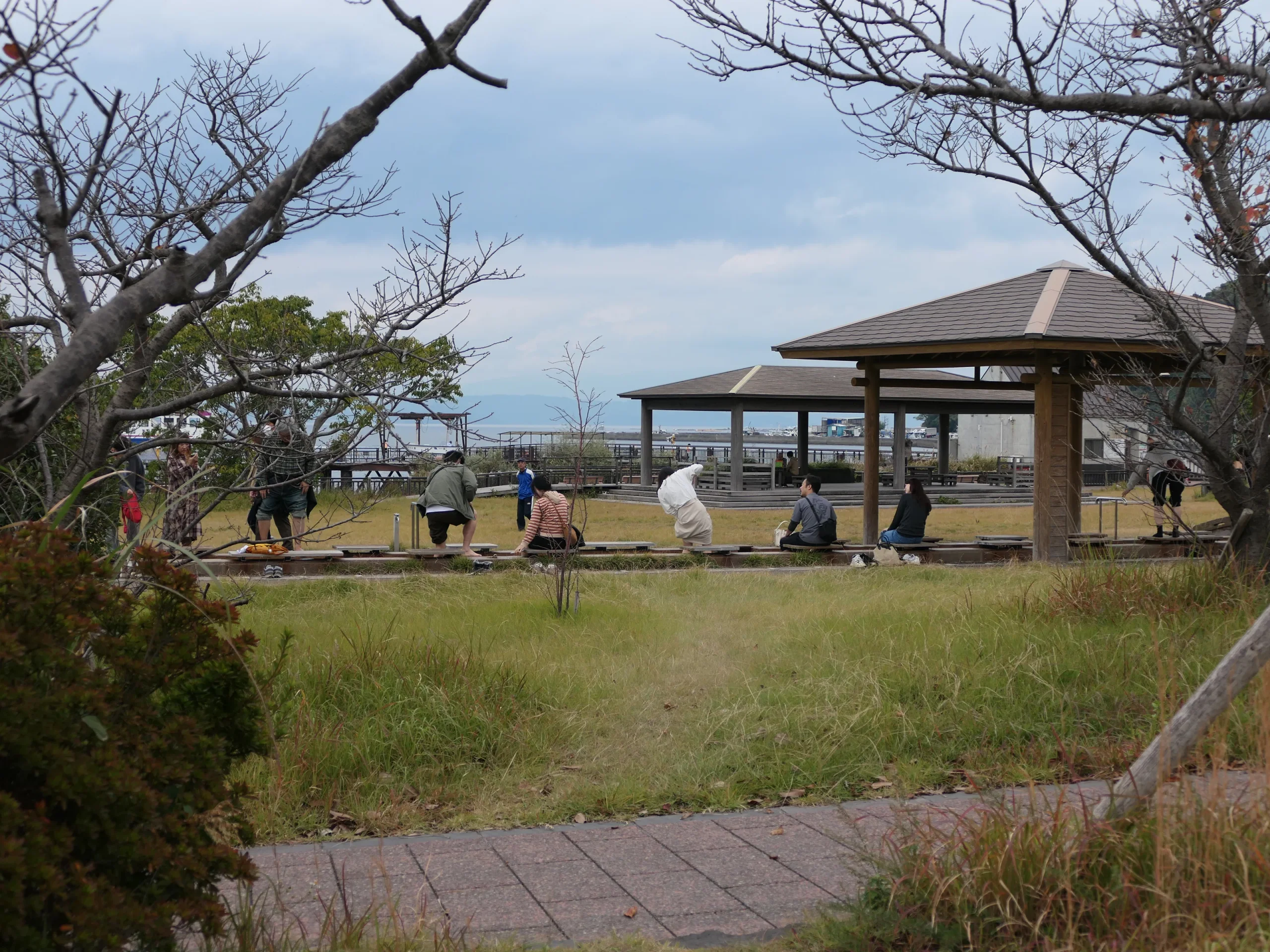 櫻島渡輪 2026:已非24小時,票價、首末班、開車上船與Island View怎麼接