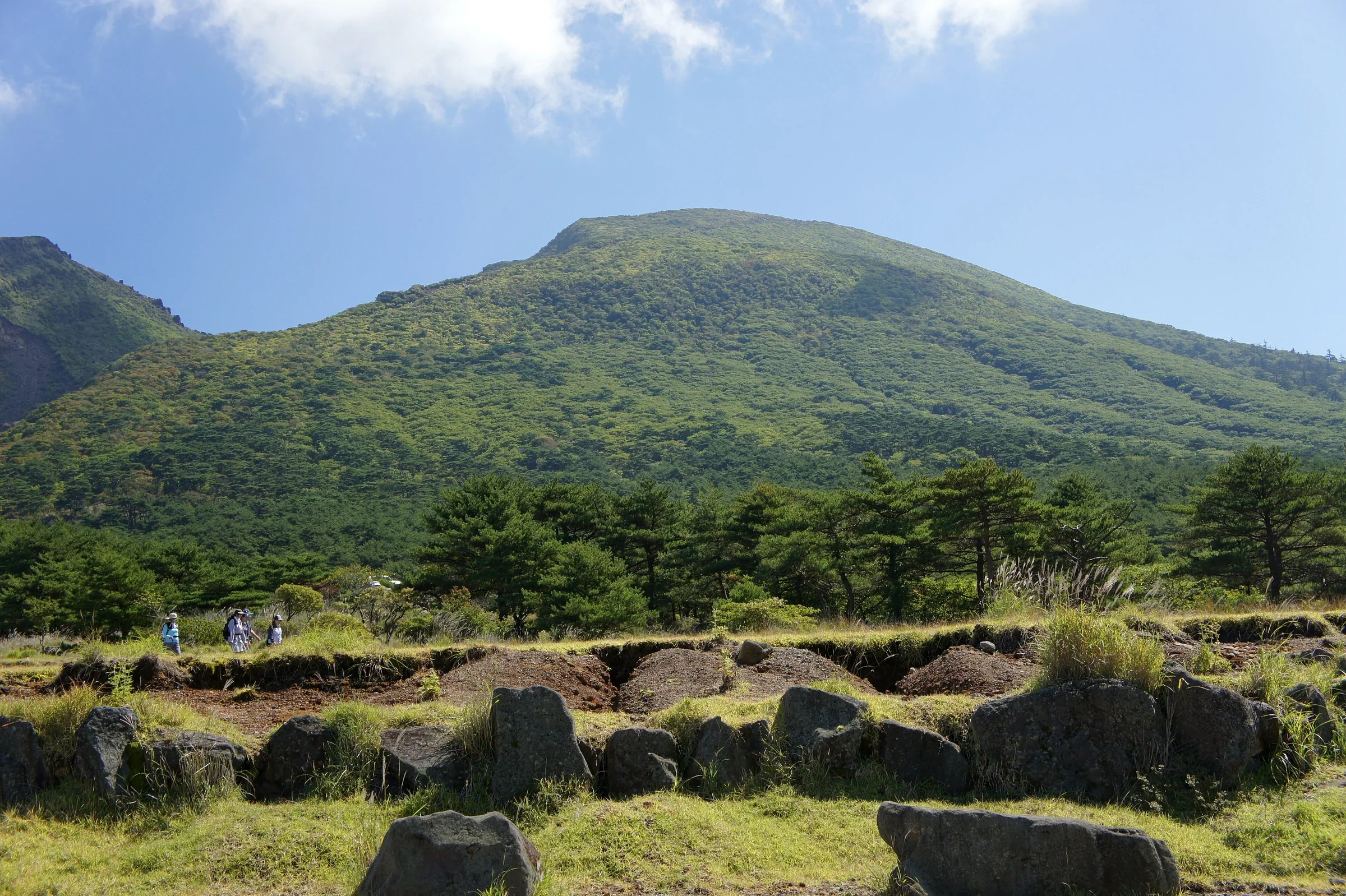 蝦野高原的草原、樹林與山稜