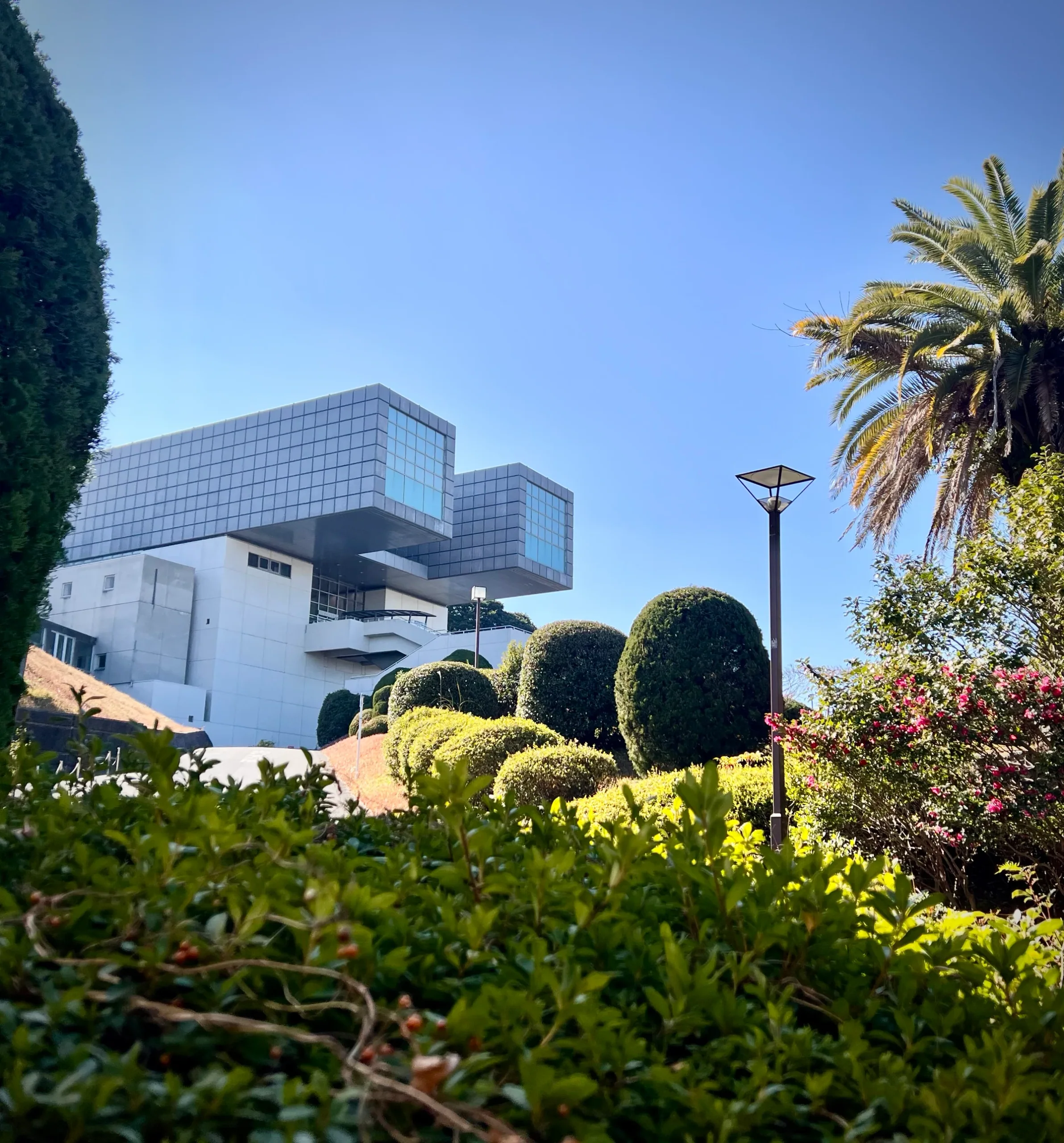 北九州市立美術館本館與庭園坡道，藍天下可見方形量體、棕櫚樹和整修灌木