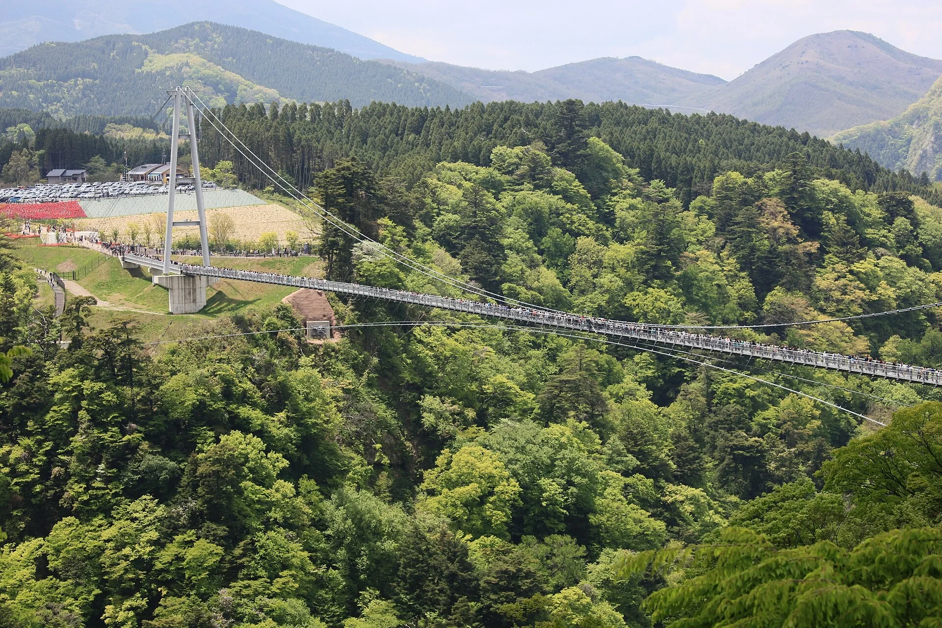 九重夢大吊橋橫跨林木山谷，橋面連接兩側觀景區