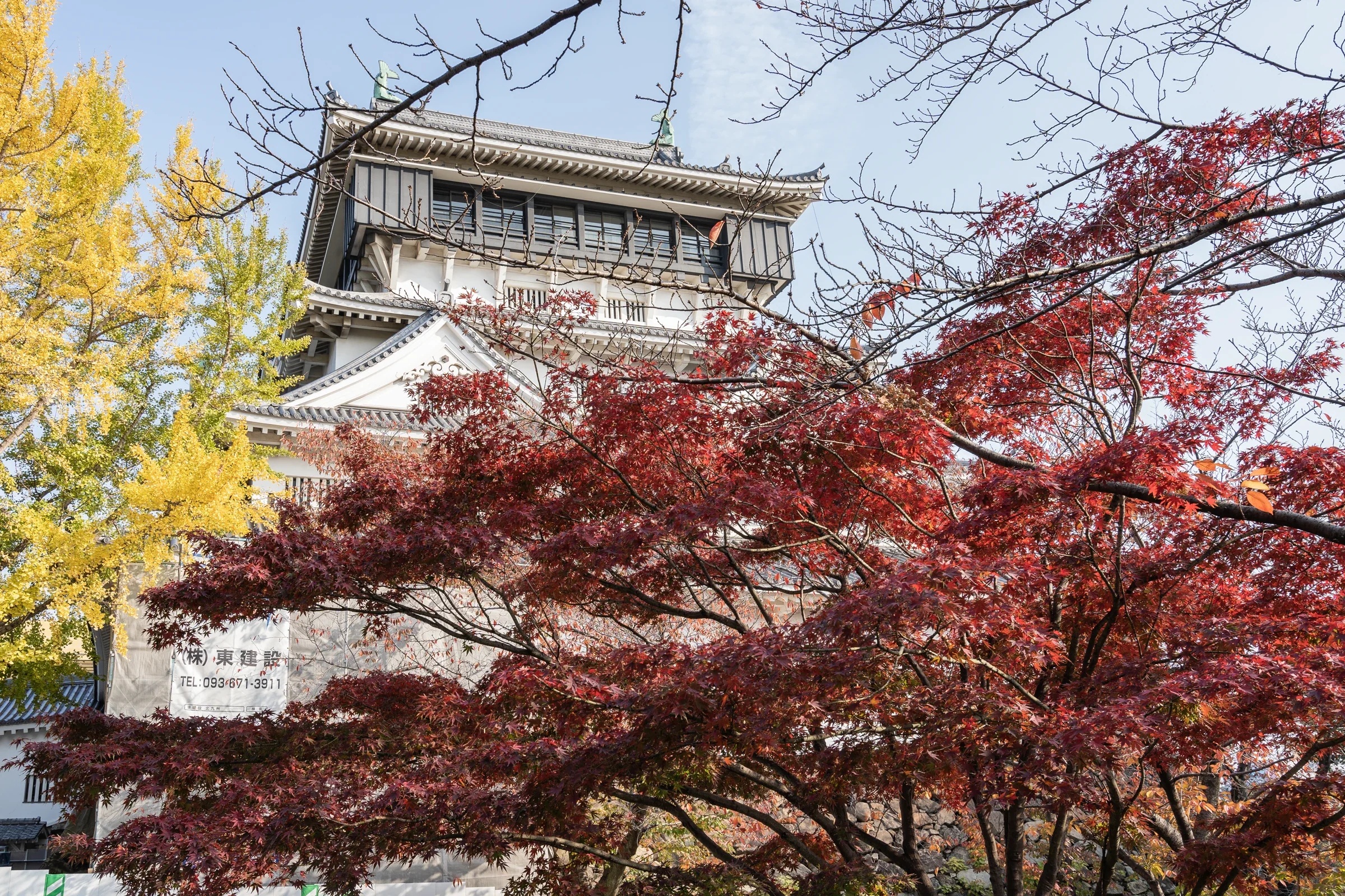 2018 年秋天，小倉城天守從紅黃楓葉間露出，城牆和白色屋瓦位於樹梢後方