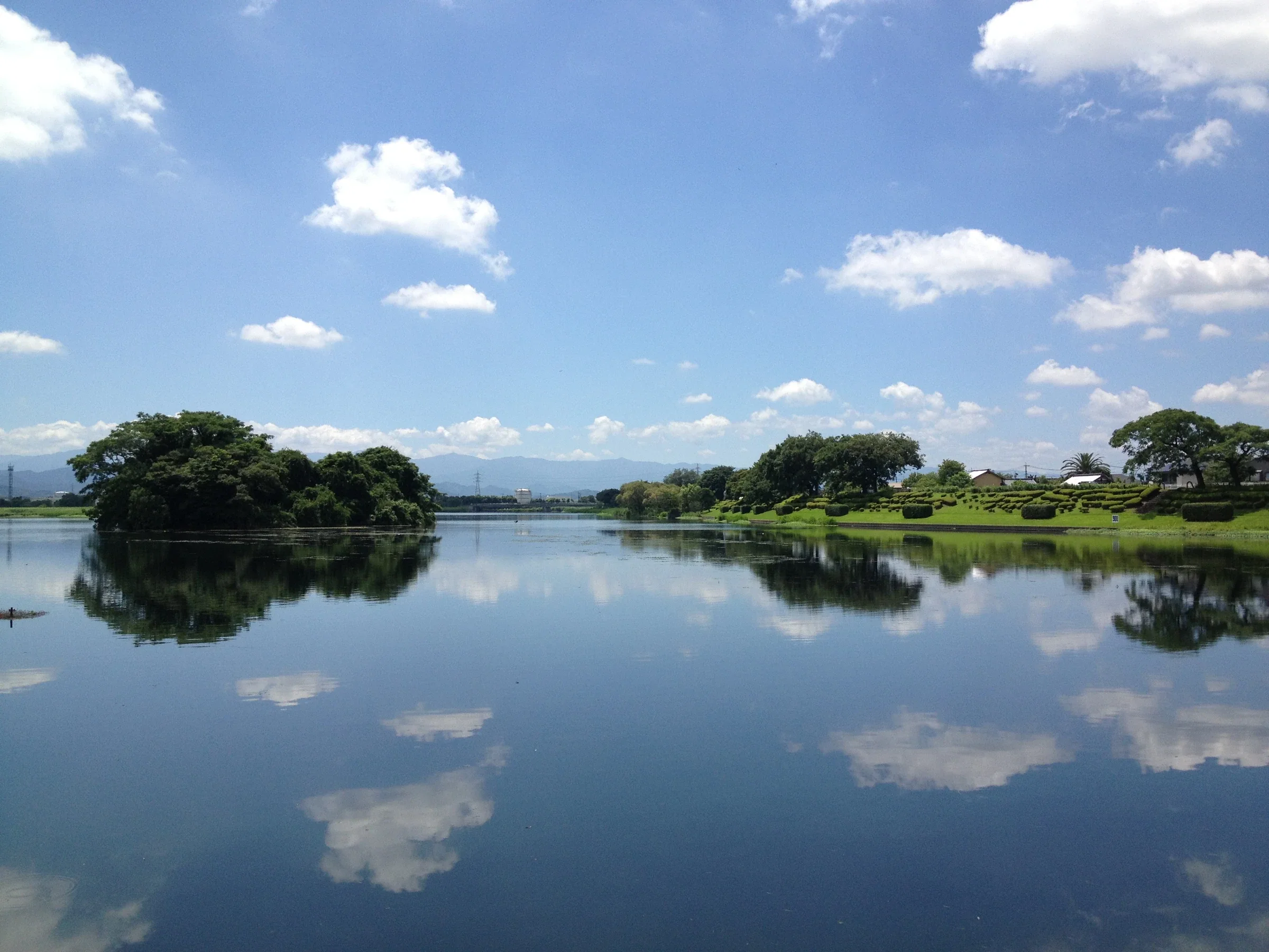 夏季的下江津湖與湖岸樹木