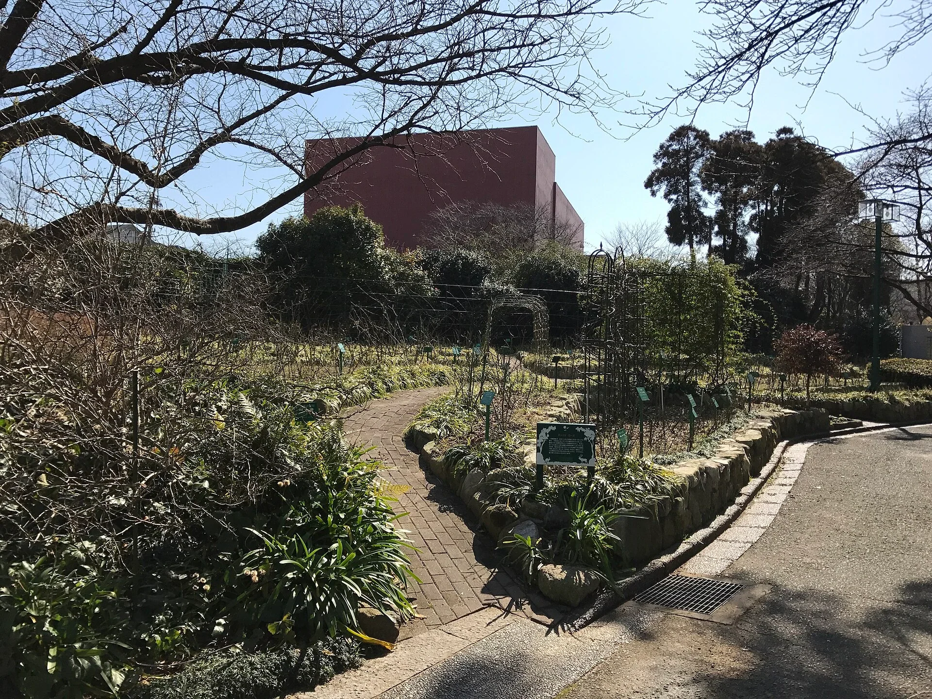 久留米石橋文化中心玫瑰園的花圃步道