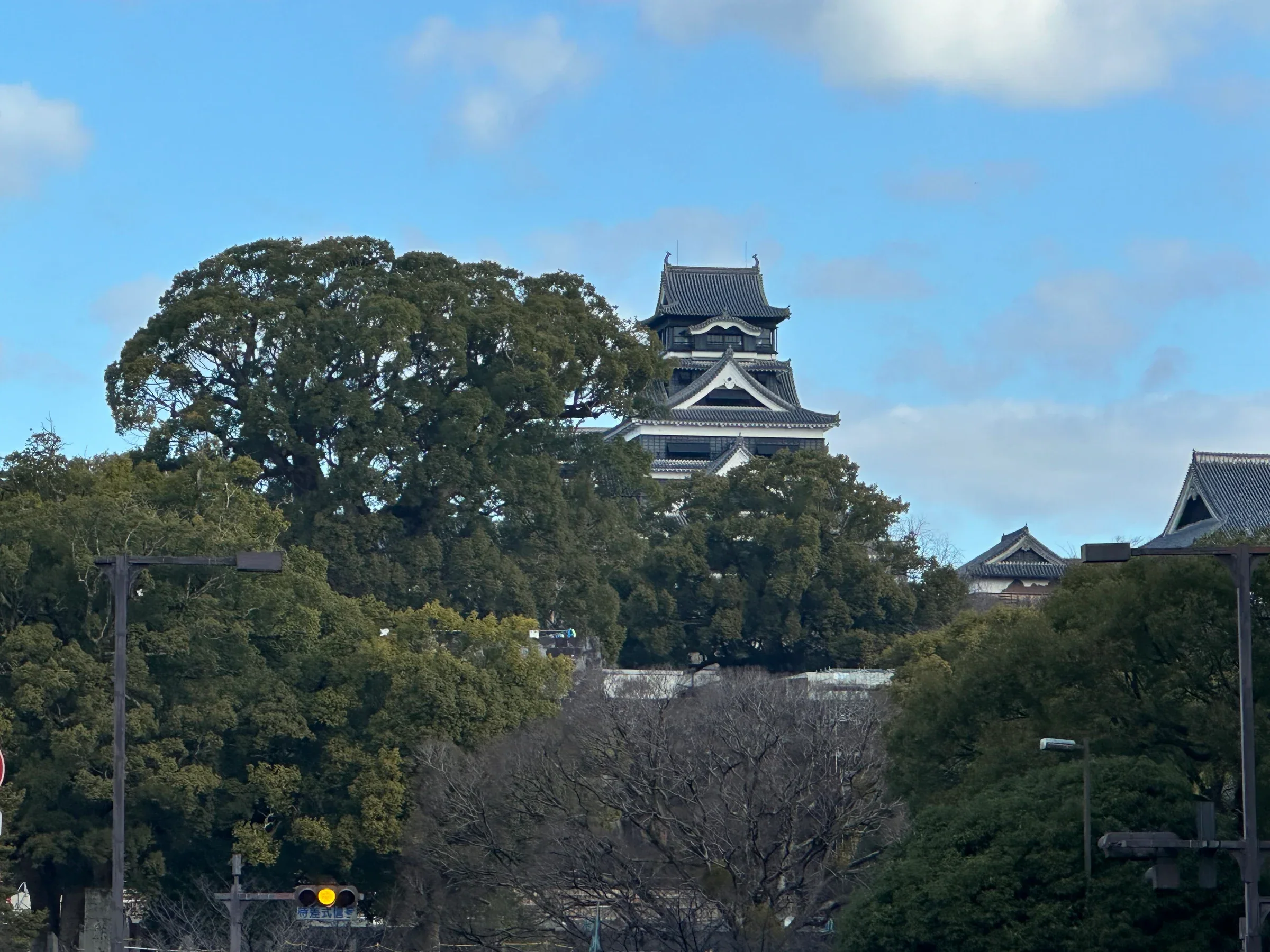 熊本城天守與周邊樹木,作為九州がっ祭熊本城會場的城市景觀參考