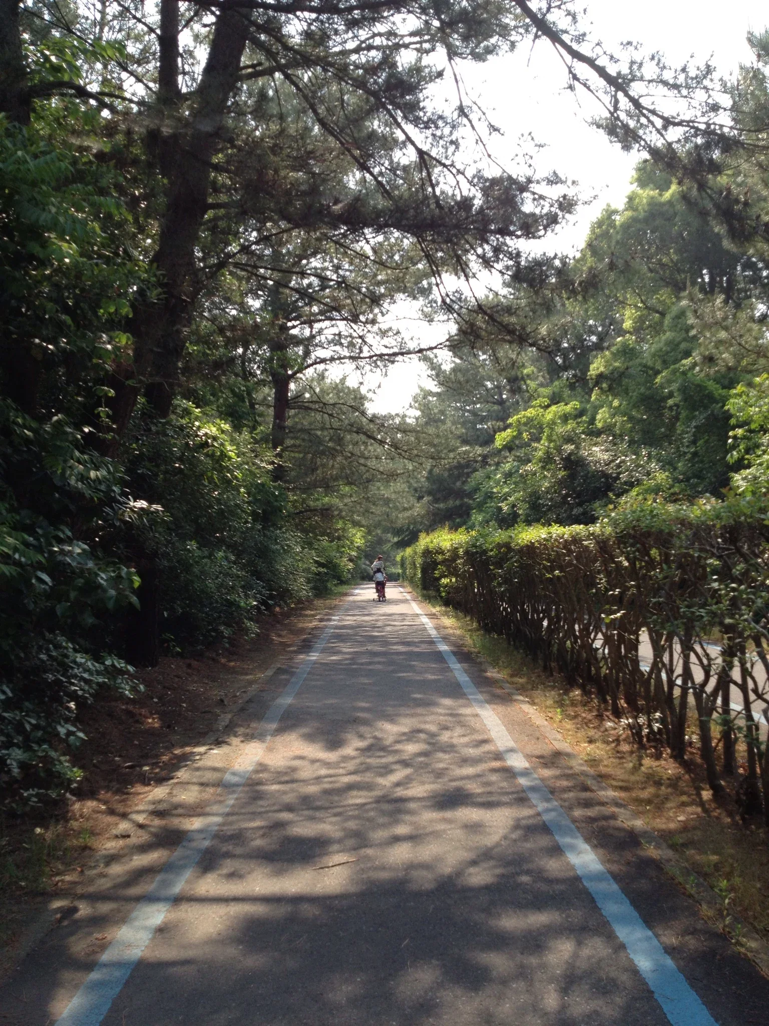 海之中道海濱公園自行車專用道路