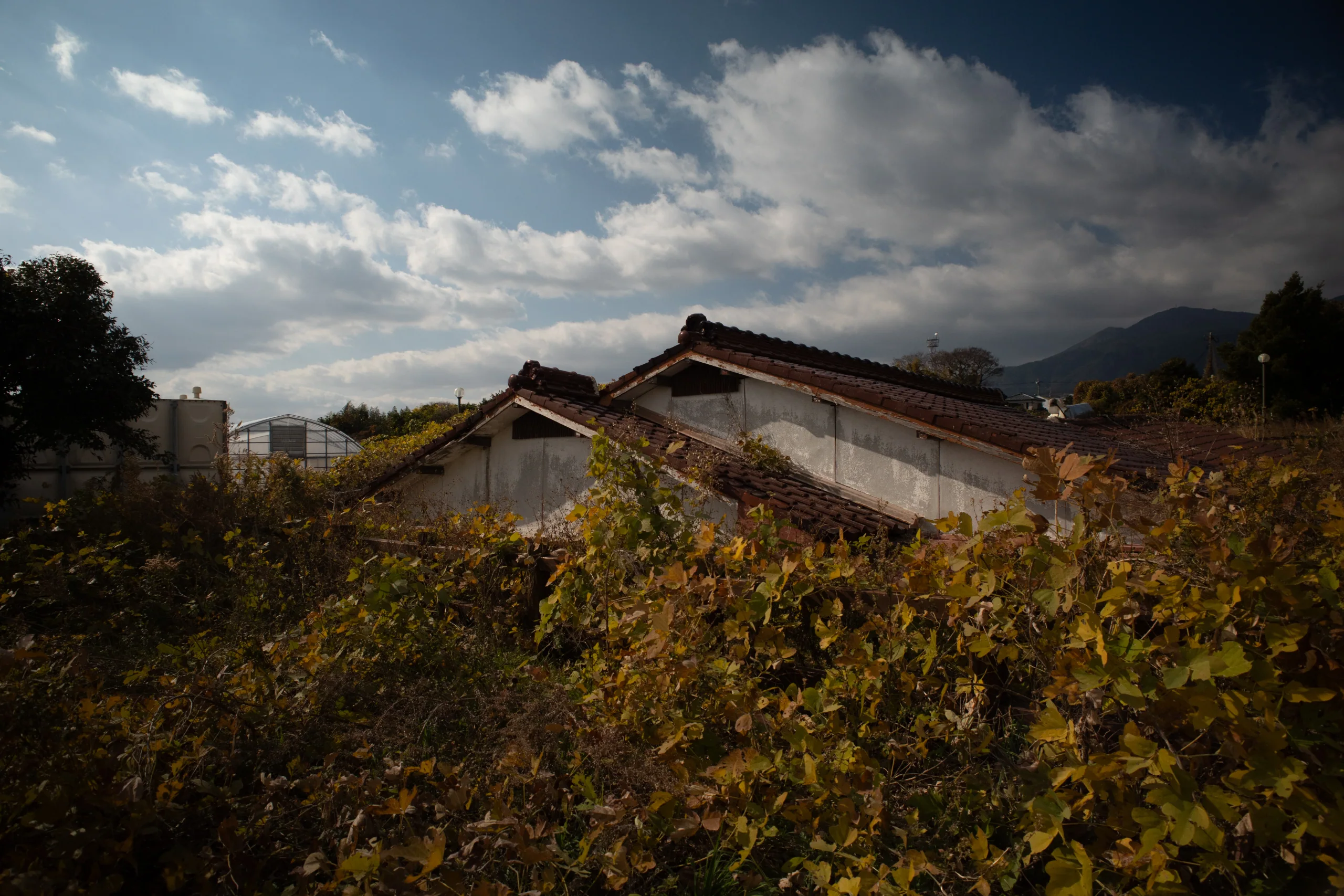 南島原土石流被災家屋保存公園戶外保存的民宅屋頂與周邊植被