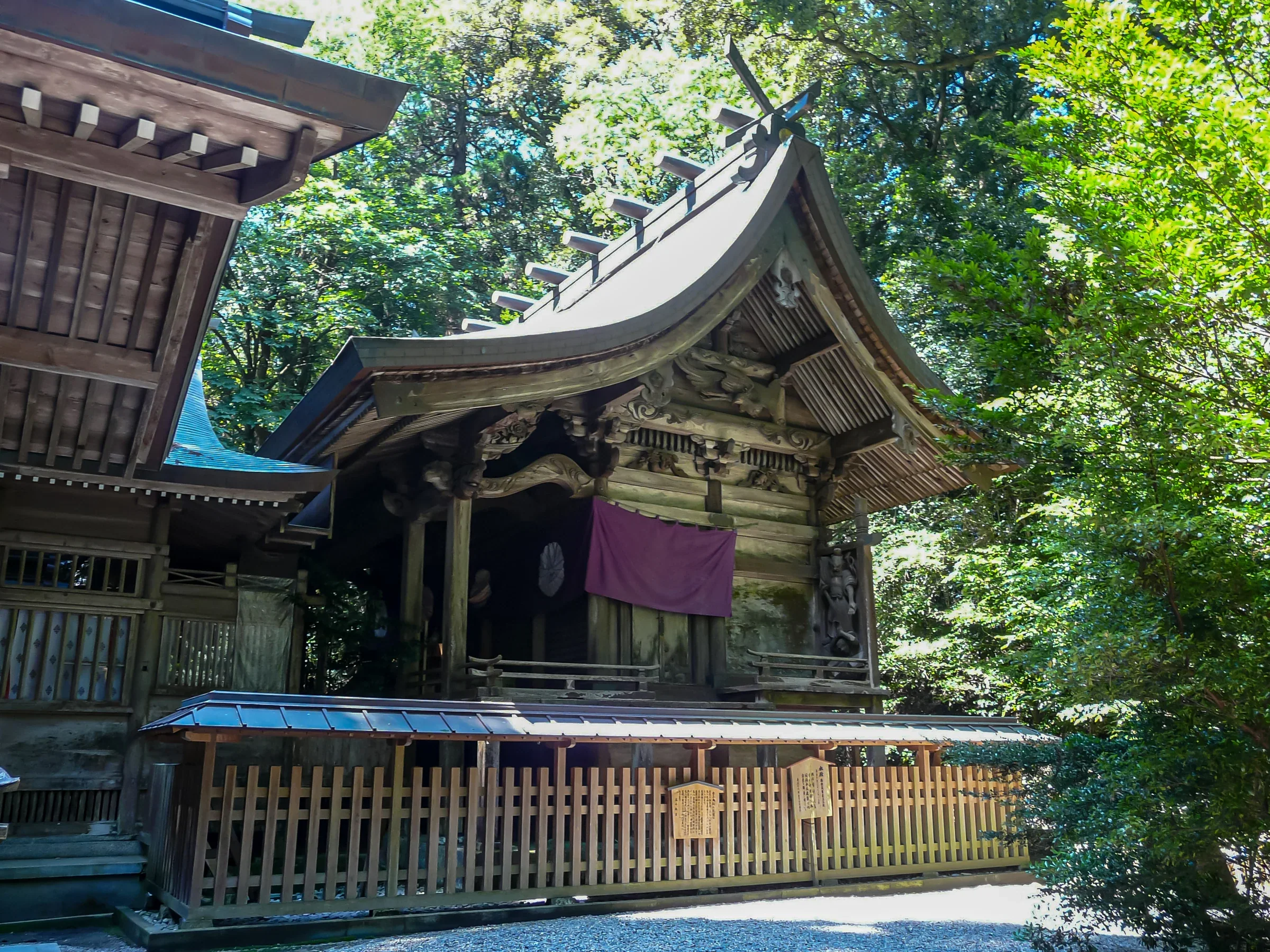 杉木林間的高千穗神社本殿