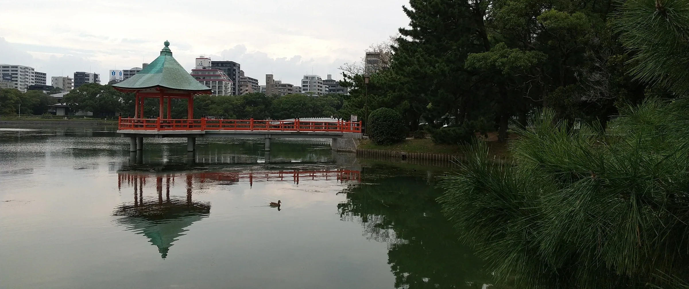 大濠池與浮見堂的寬幅實景,水面倒映紅色亭橋,周圍是公園樹木