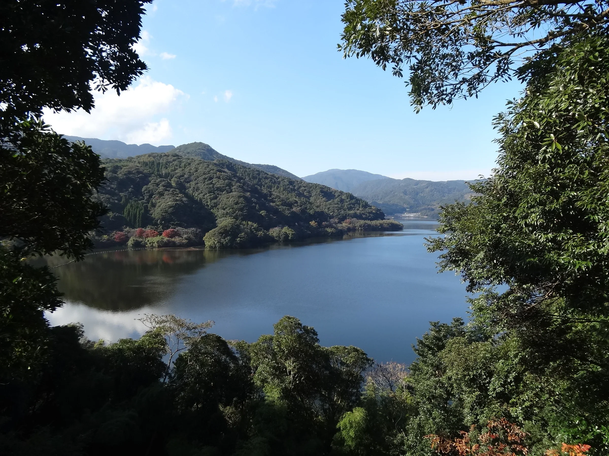 11 月的大隅湖水面、群山與岸邊樹木，遠處湖岸線在晴空下延伸