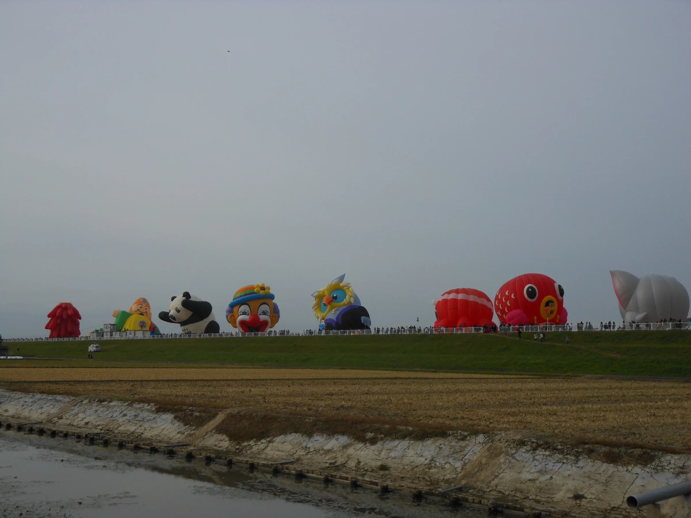 2015 年佐賀國際熱氣球節 Balloon Fantasia，河堤前繫留著熊貓、小丑和魚造型氣球