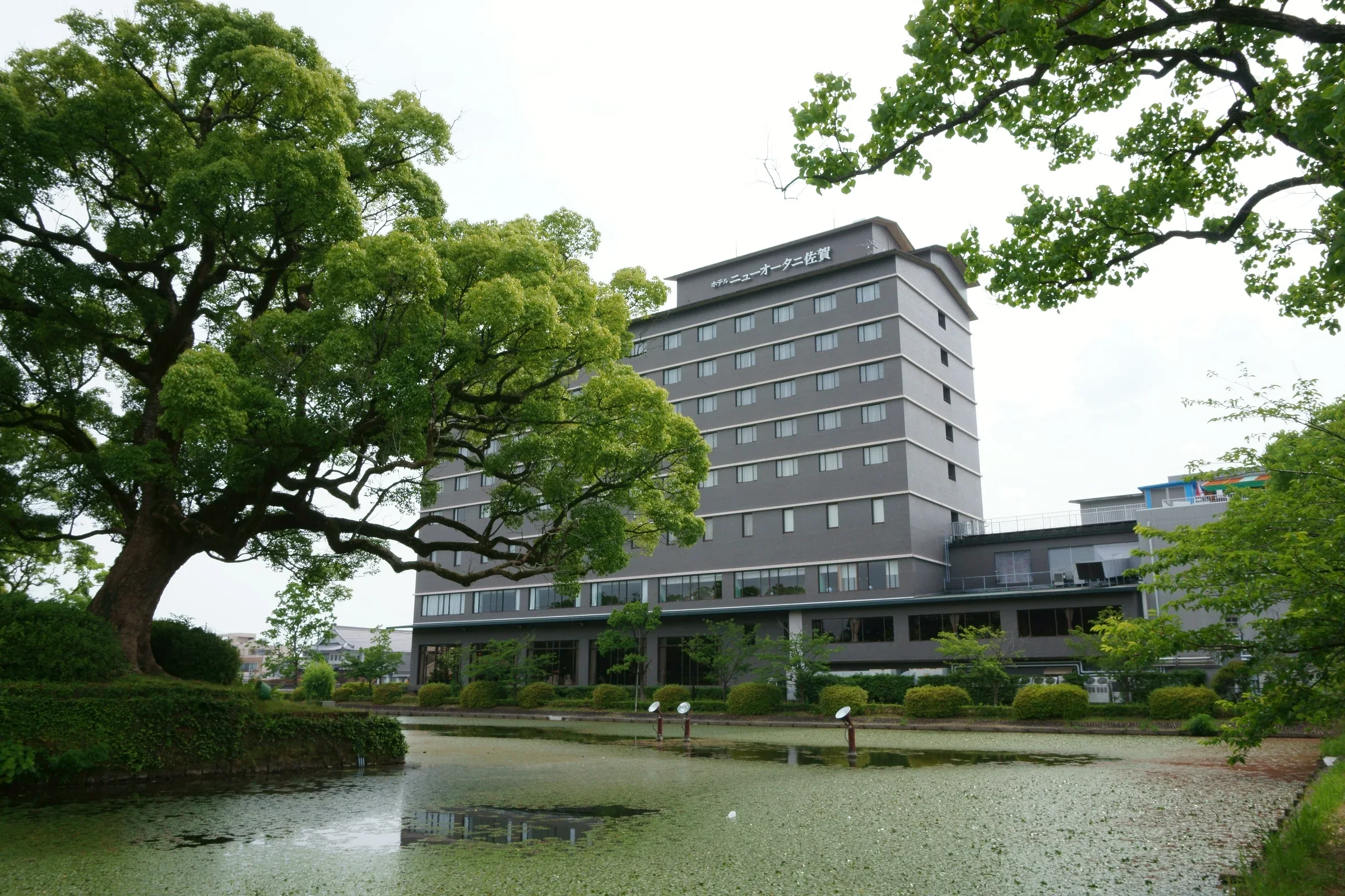 Hotel New Otani Saga 與佐賀城護城河同框，岸邊有大片樹蔭