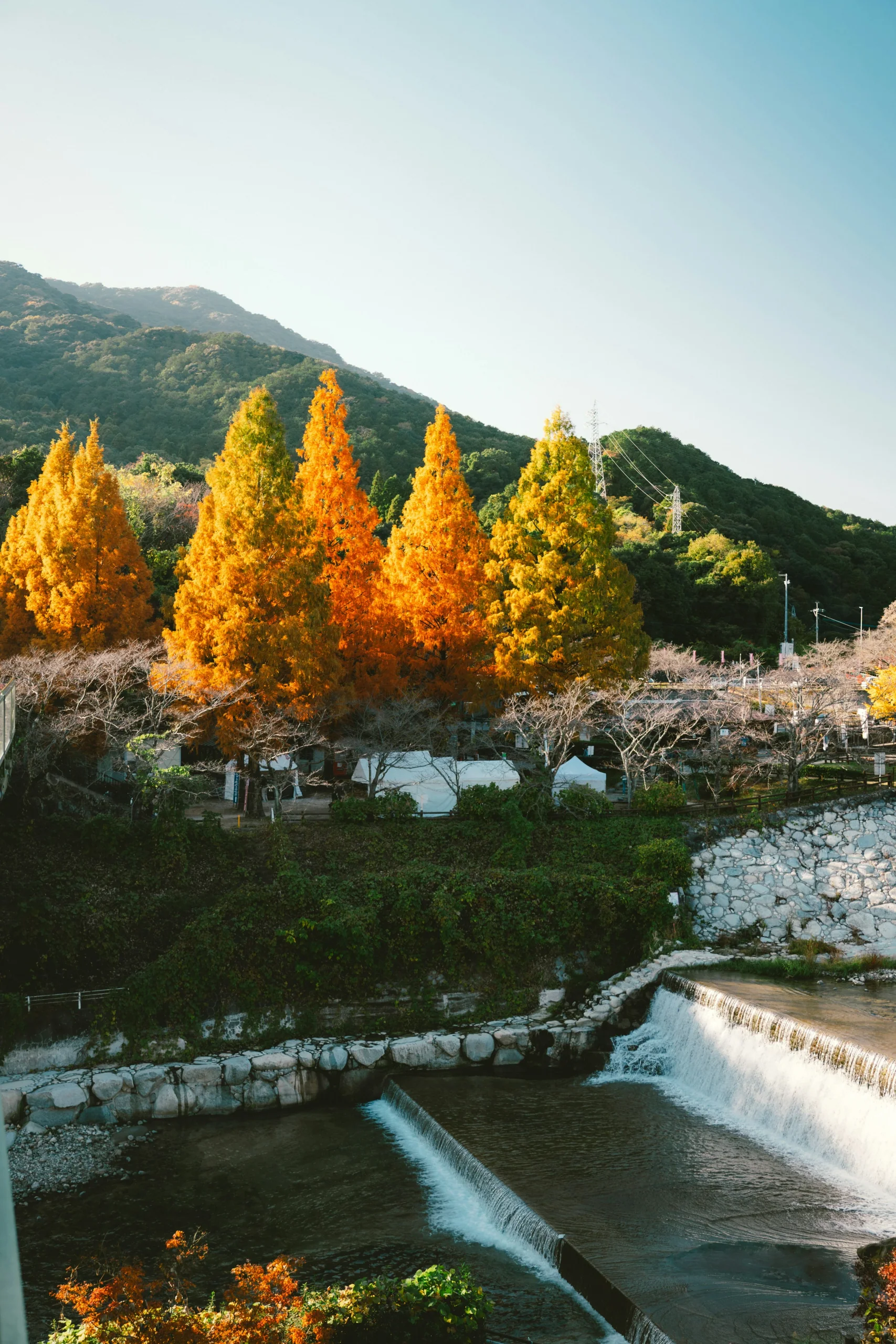 秋色樹林與石砌溪流瀑布,實景位於佐賀縣神埼市仁比山公園