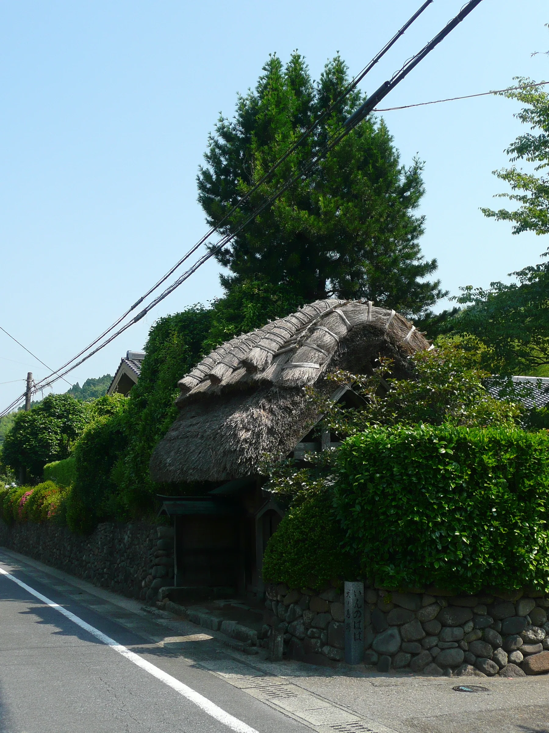 薩摩川內至阿久根自駕路線示意圖:川內川橋、沿海道路與灣岸港口