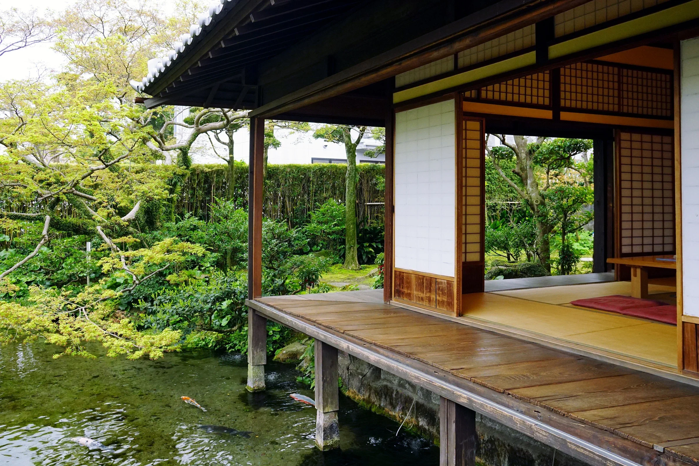 四明莊座敷向外望向湧水池與庭園，池內有鯉魚