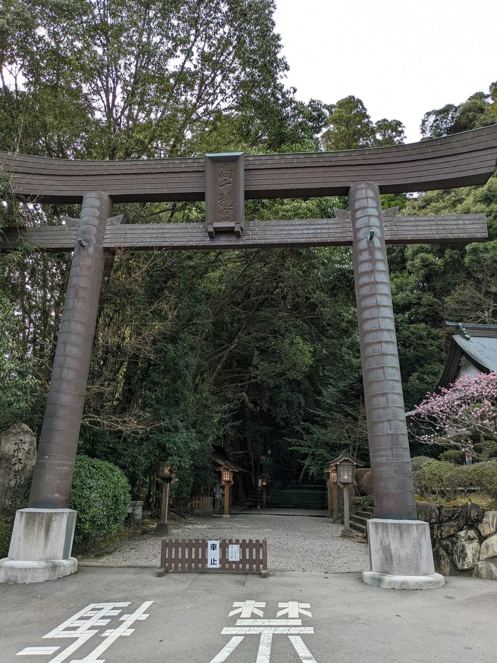 高千穗神社入口鳥居與杉林參道