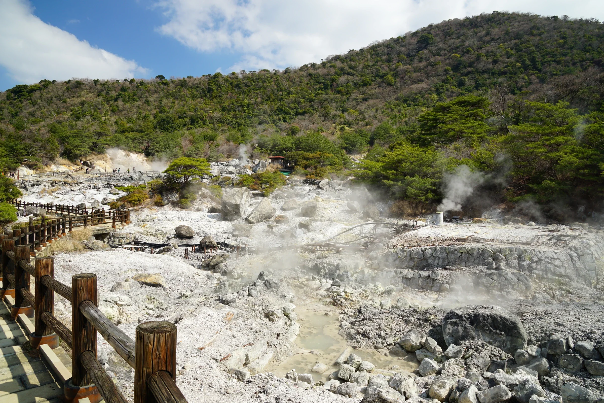 雲仙地獄蒸氣升起,木棧道穿過白色岩地與林木之間